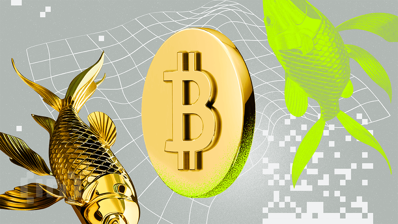 分析師稱比特幣將隨黃金上漲，延遲 100 天因流動性激增