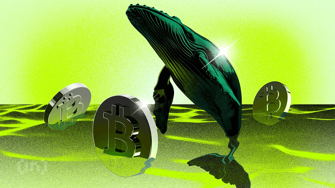 中本聪时代 8 万比特币转入交易所