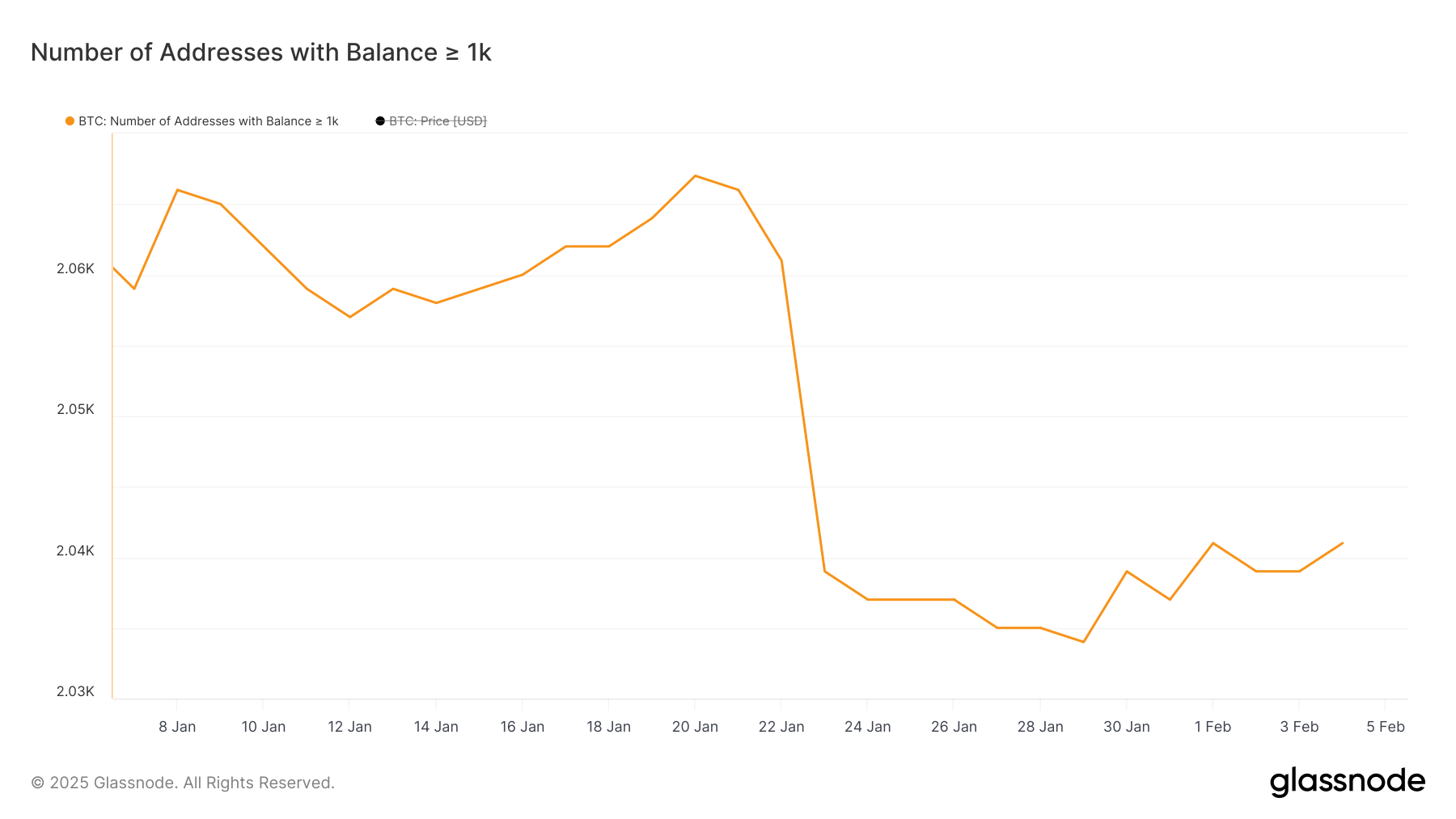 持有 1,000+ BTC 的地址。