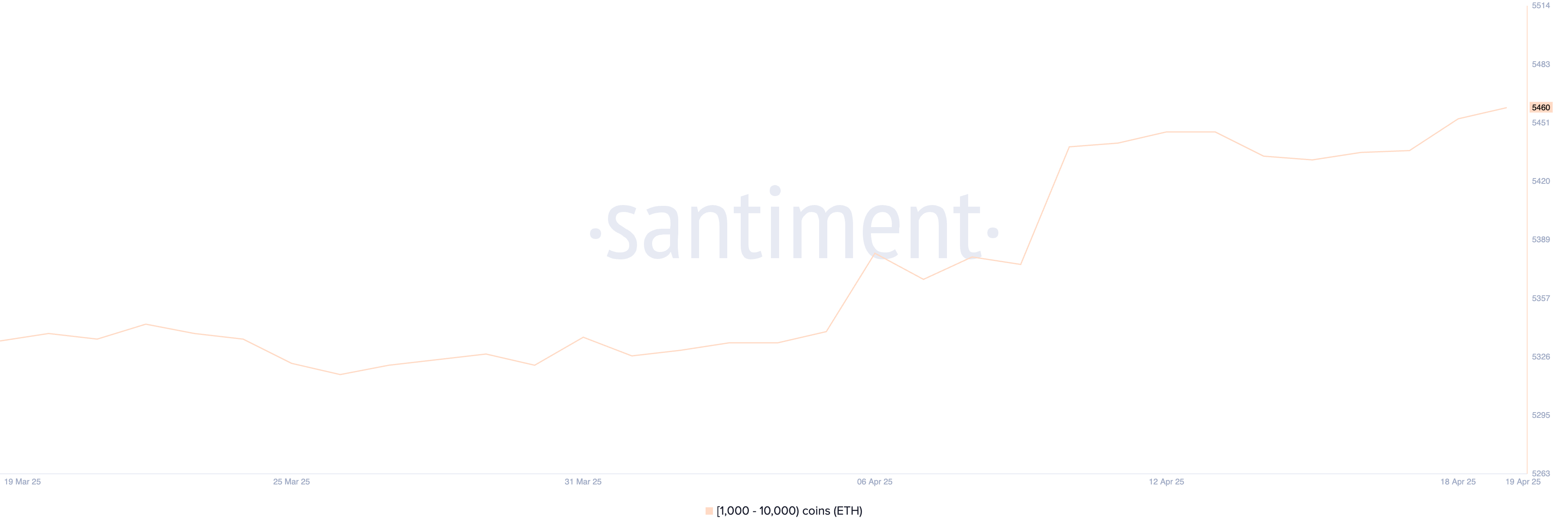 持有 1,000 至 10,000 ETH 的地址數量。