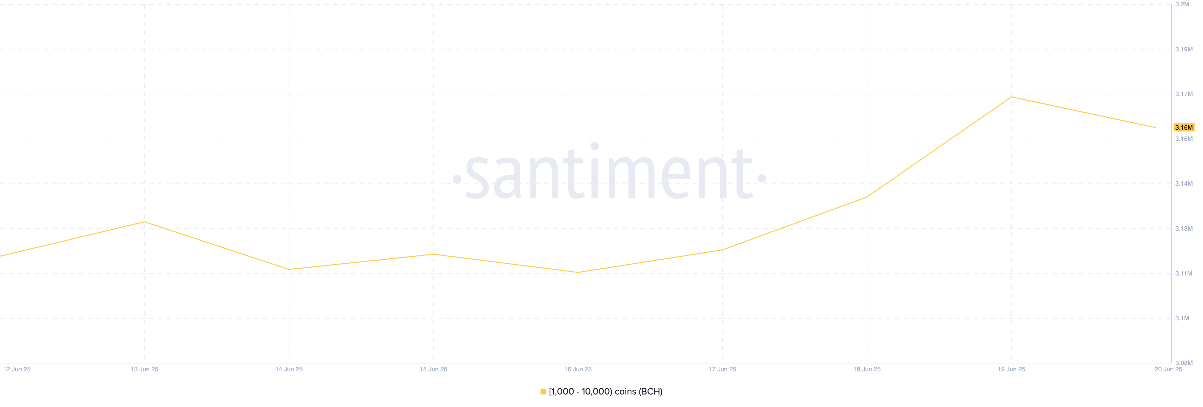 BCH 供应分布。