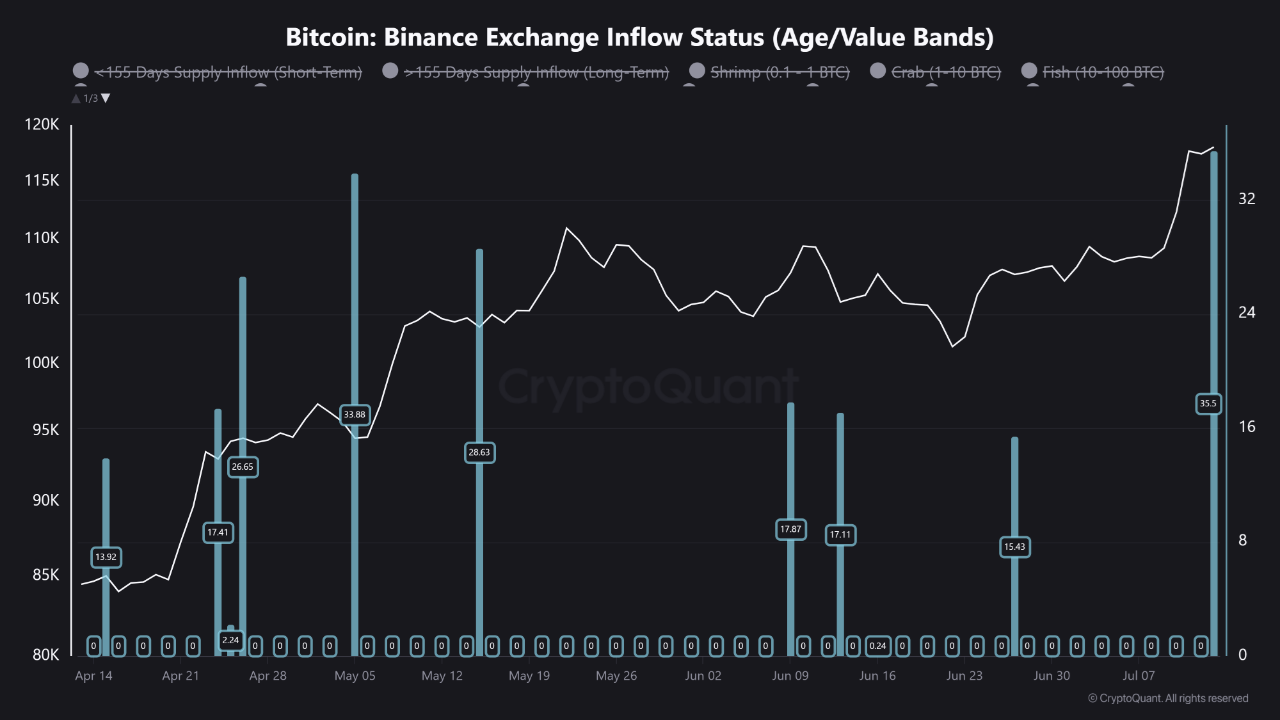 币安交易所流入状态。来源:CryptoQuant。