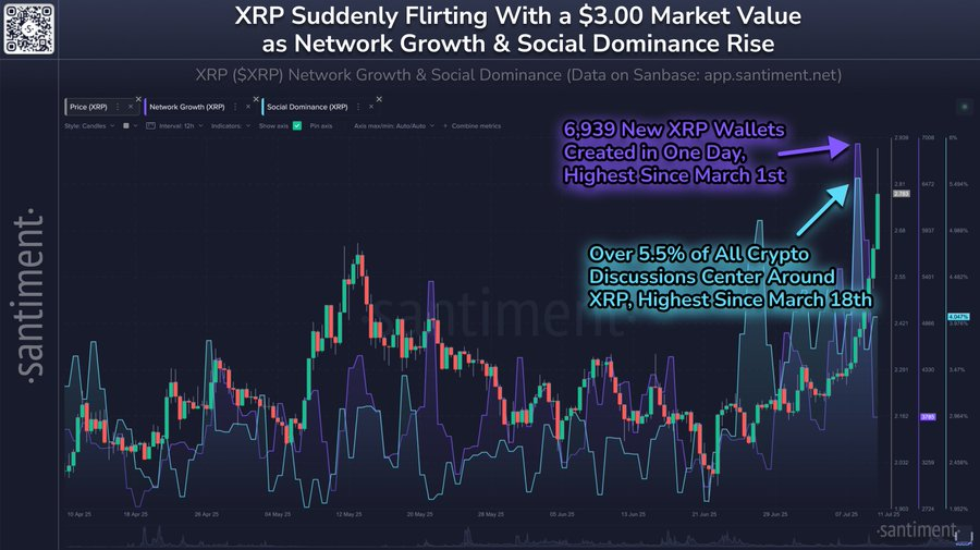 XRP 网络活动。