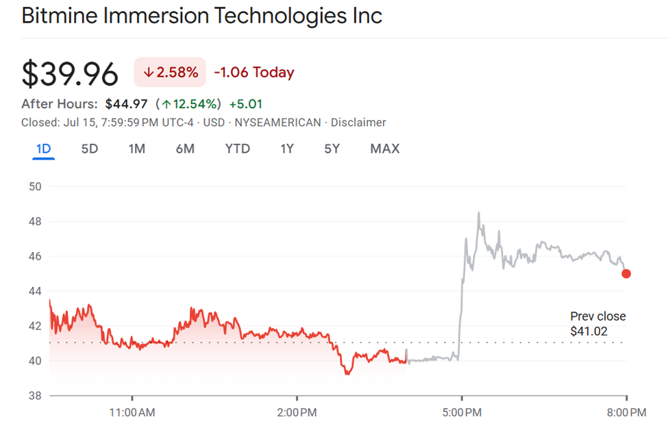 BitMine Immersion Technologies (BMNR) 股价