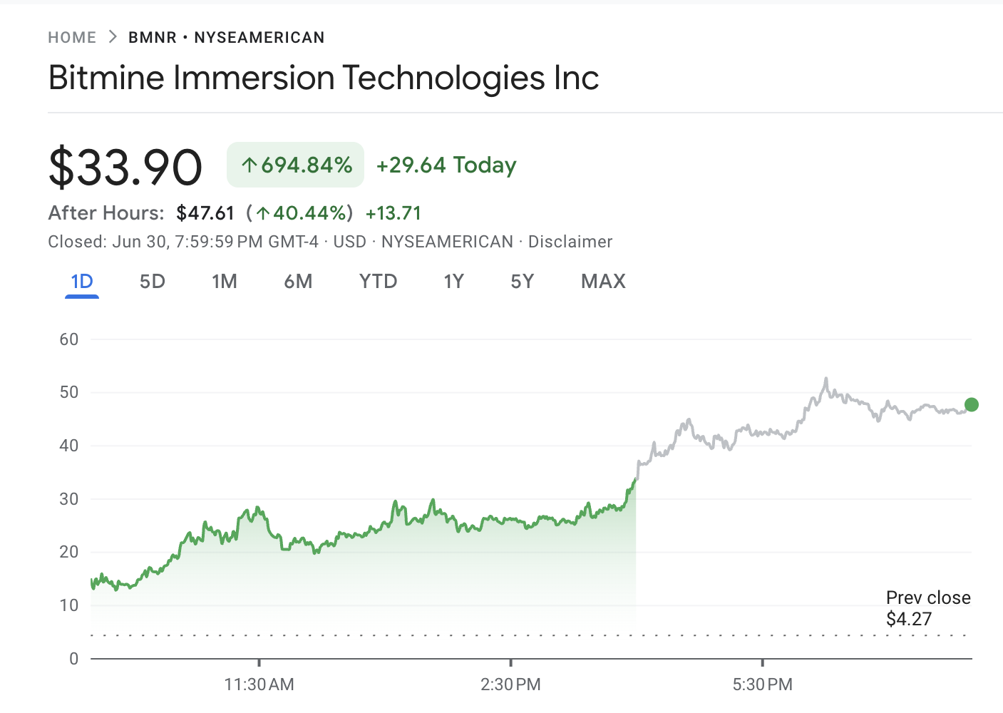 BitMine Immersion Technologies 股票表现