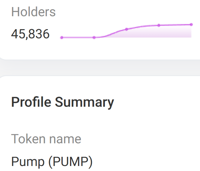 PUMP 代币持有者。