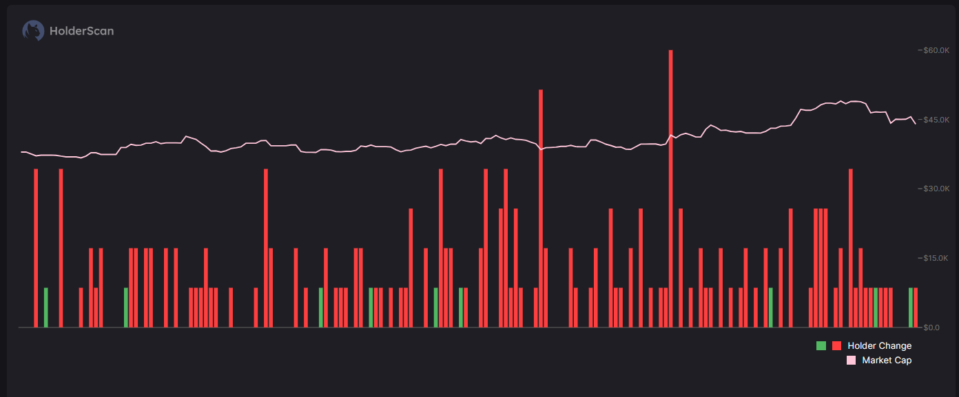 Pi 币持有者。